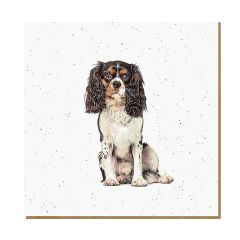 The Wildlife Library Spaniel Greeting Card